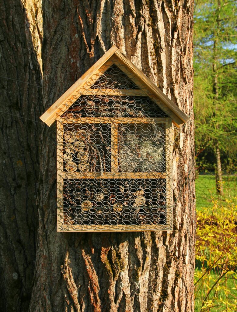 Insect hotel front view